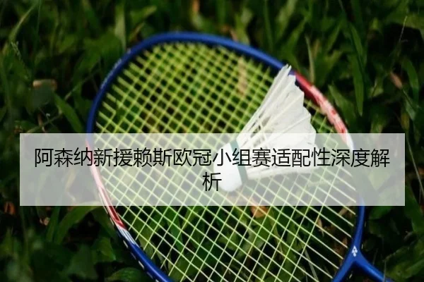 阿森纳新援赖斯欧冠小组赛适配性深度解析